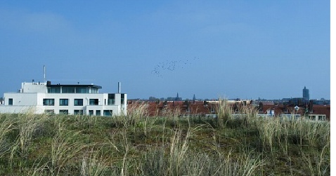 Fletcher hotel aan zee (Elzenduin)